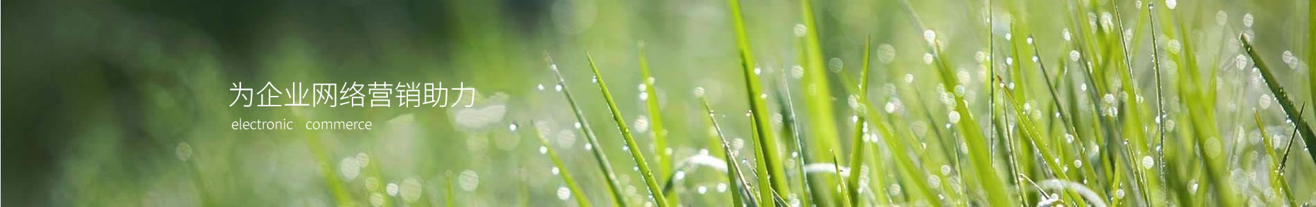 ׷ӿƼݣ޹˾